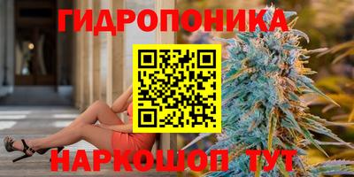 кокс Гай