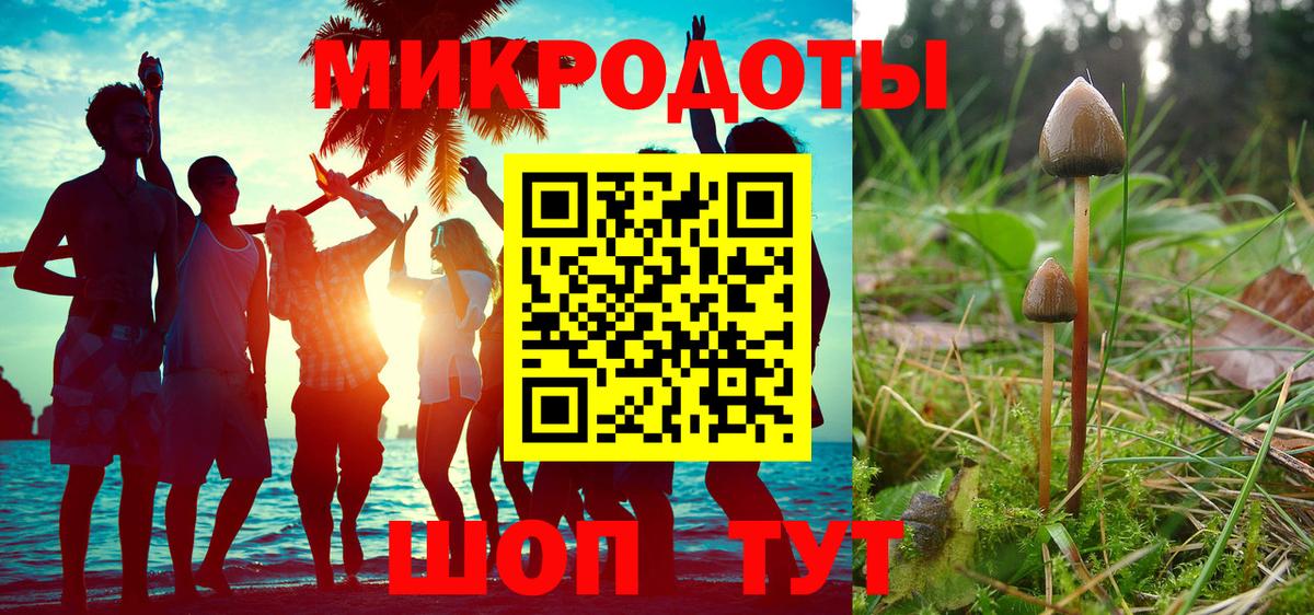 Галлюциногенные грибы Cubensis  Вход с VPN  Галлюциногенные грибы Cubensis  Елизово 